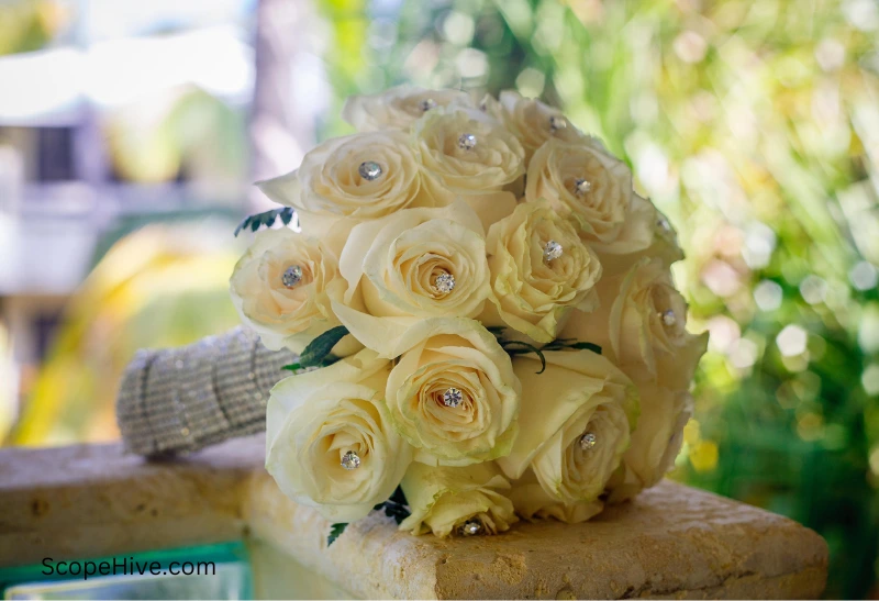 bunch of ivory roses