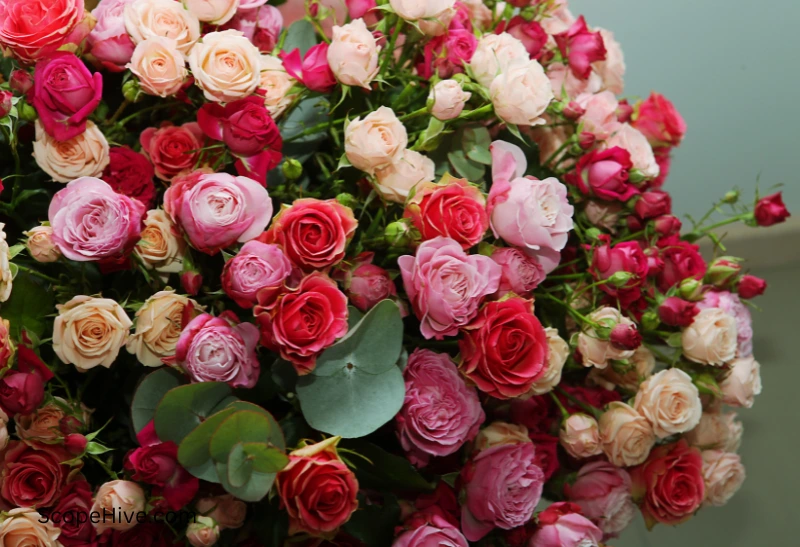 bunch of multicolor roses