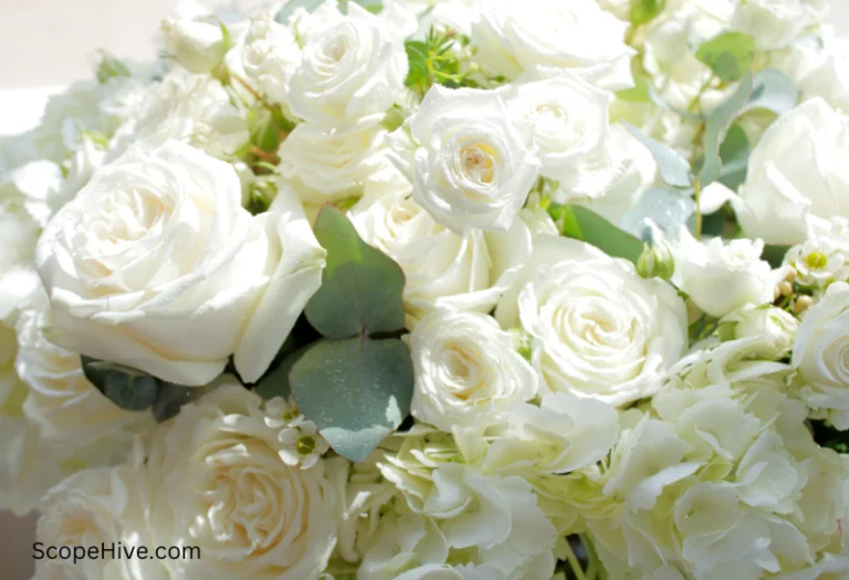 Bunch of white roses