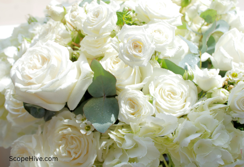 Bunch of white roses