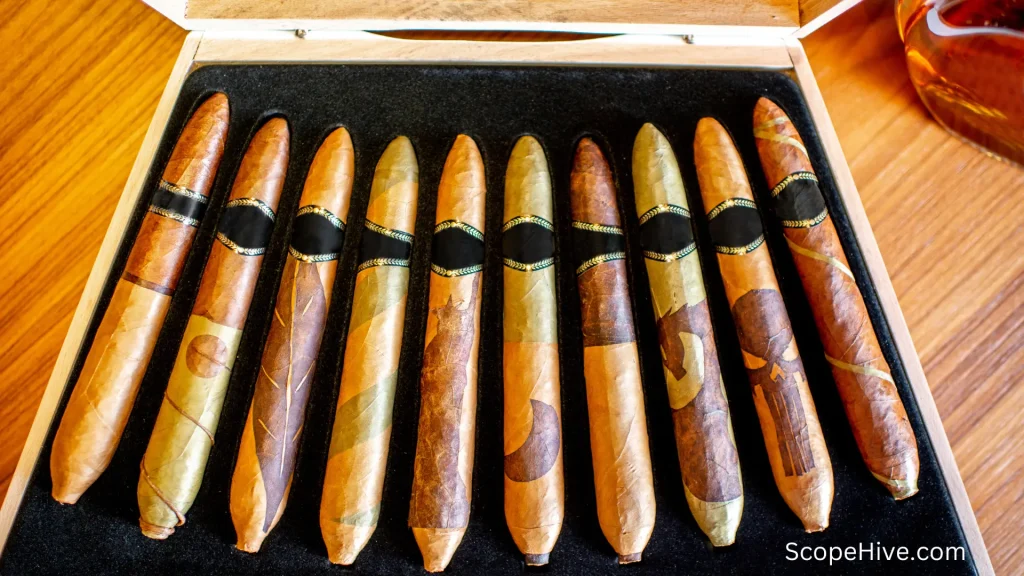 Different types of cigars placed in a box